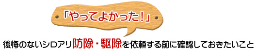 「やってよかった!」 後悔のないシロアリ防除・駆除を依頼する前に確認しておきたいこと
