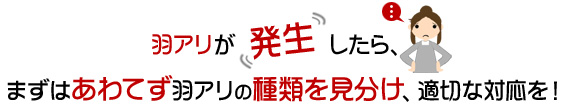 羽アリが発生したら、
まずはあわてず羽アリの種類を見分け、適切な対応を!